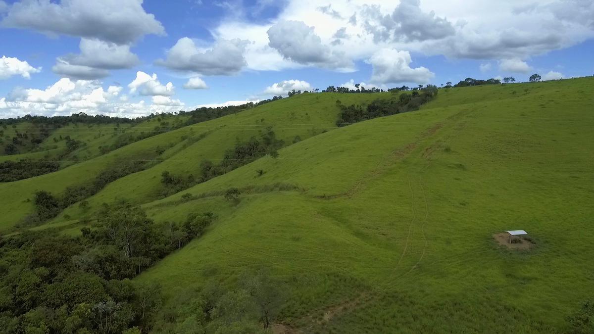 Fazenda, Centro, 1 Quarto, 1 Vaga