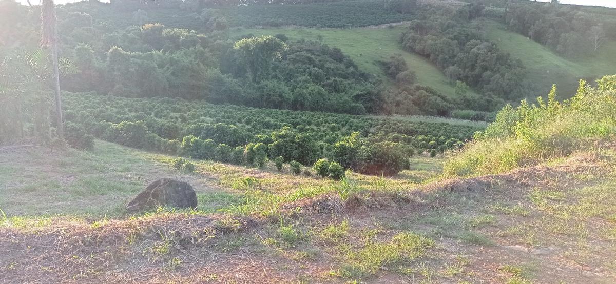 Fazenda, Zona Rural, 4 Quartos, 4 Vagas, 1 Suíte