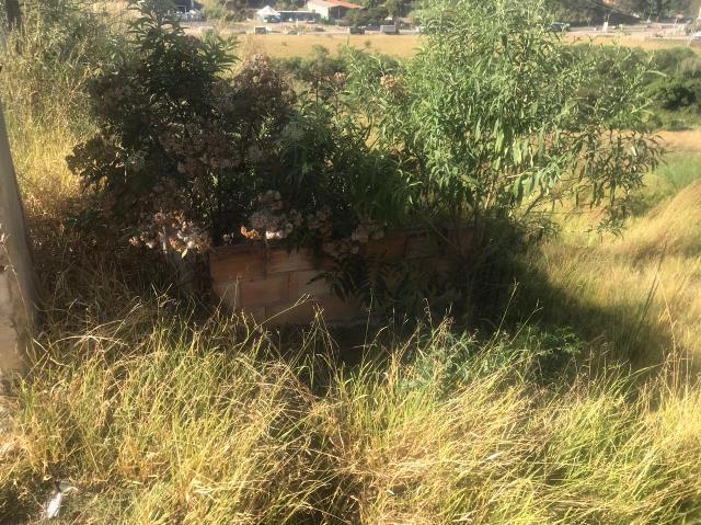 Lote, Jardim Vitória, 0 Quarto, 0 Vaga