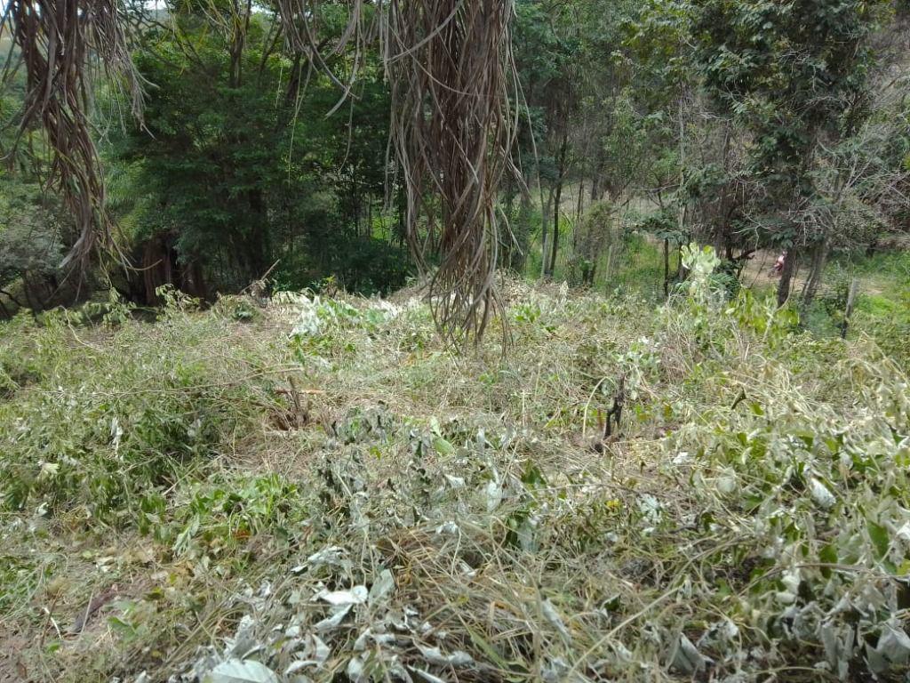 Lote, Ravena, 0 Quarto, 0 Vaga