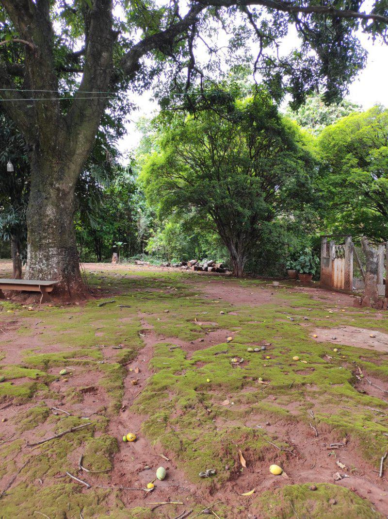 Fazenda, Centro, 6 Quartos, 0 Vaga, 1 Suíte
