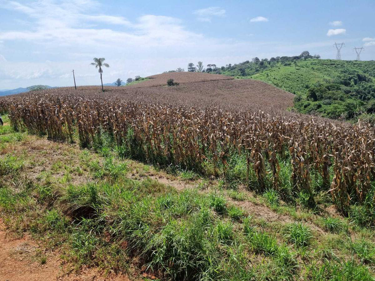 Fazenda, Zona Rural, 3 Quartos, 0 Vaga