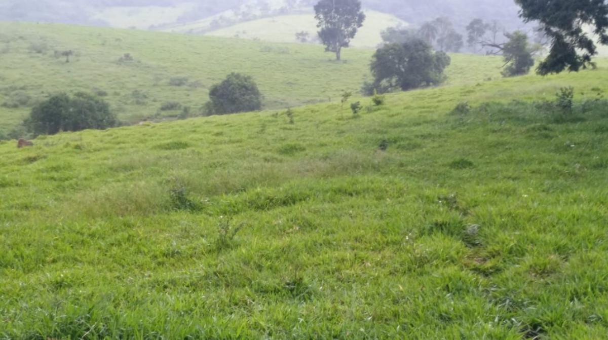 Fazenda, Zona Rural, 0 Quarto, 0 Vaga