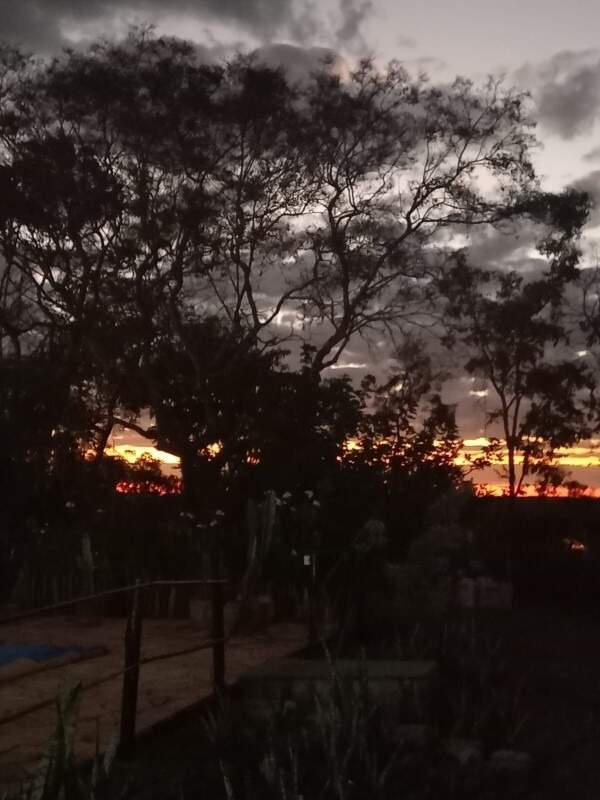 Fazenda, Campo Alegre, 6 Quartos, 0 Vaga