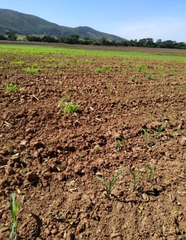 Fazenda, Zona Rural, 0 Quarto, 0 Vaga