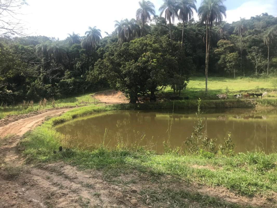 Lote, Bandeirinhas, 0 Quarto, 10 Vagas