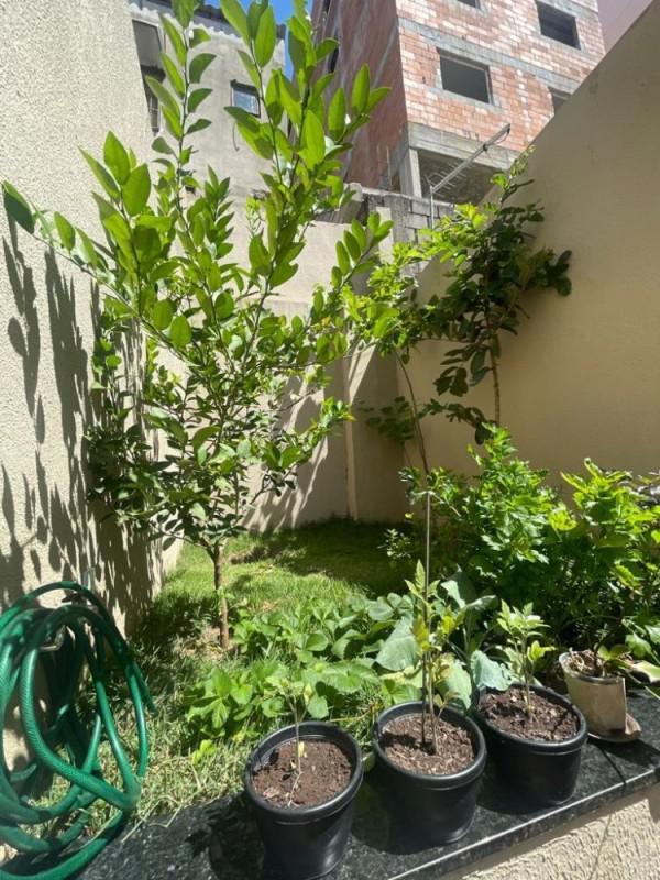 Apartamento, Masterville, 3 Quartos, 2 Vagas