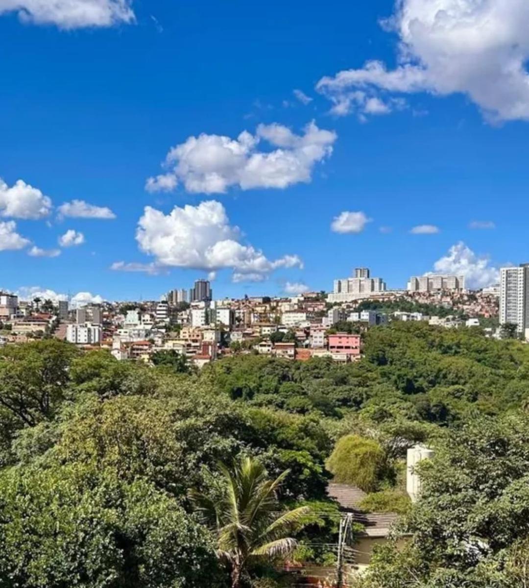 Apartamento, Palmeiras, 3 Quartos, 1 Vaga