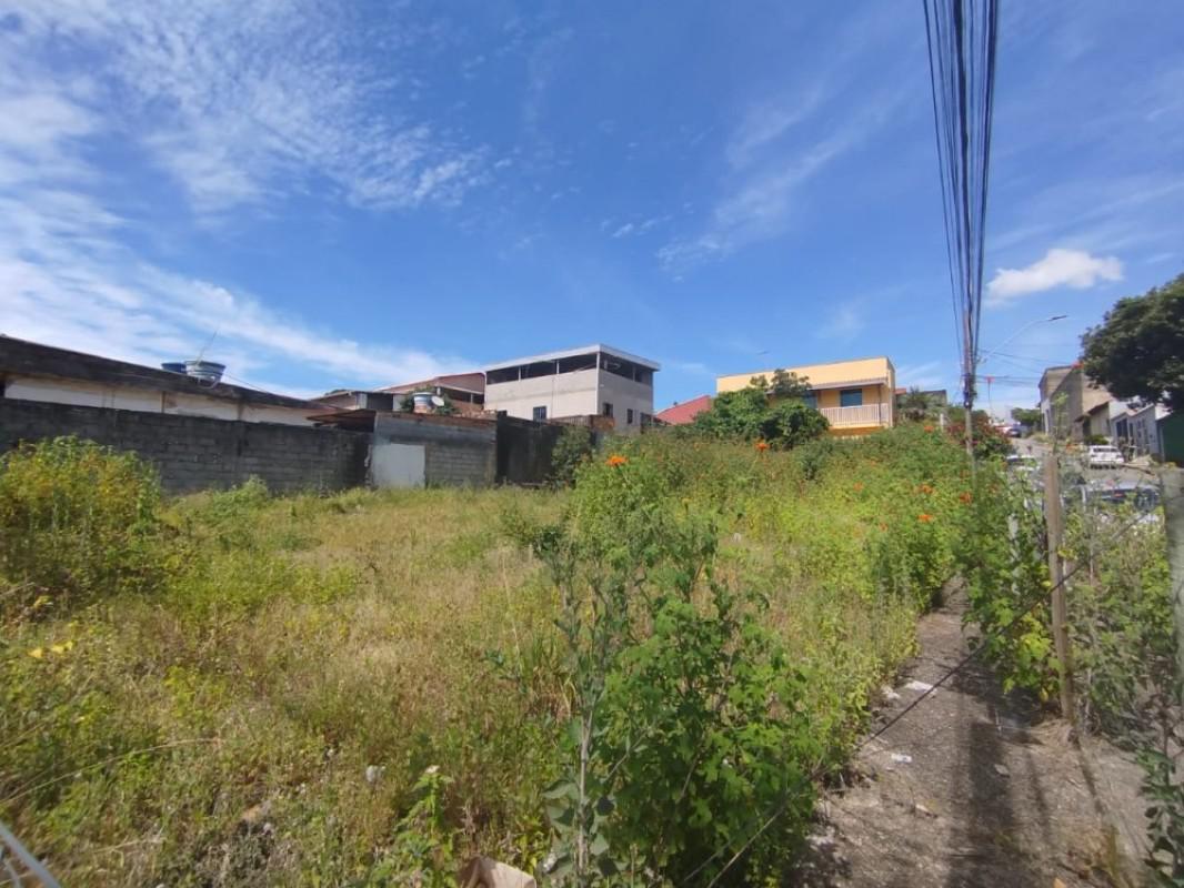 Lote, Flamengo, 0 Quarto, 0 Vaga