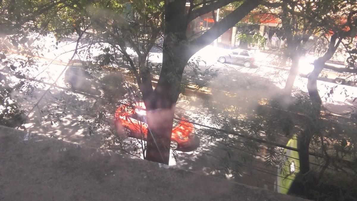 Apartamento, Barro Preto, 1 Quarto, 0 Vaga