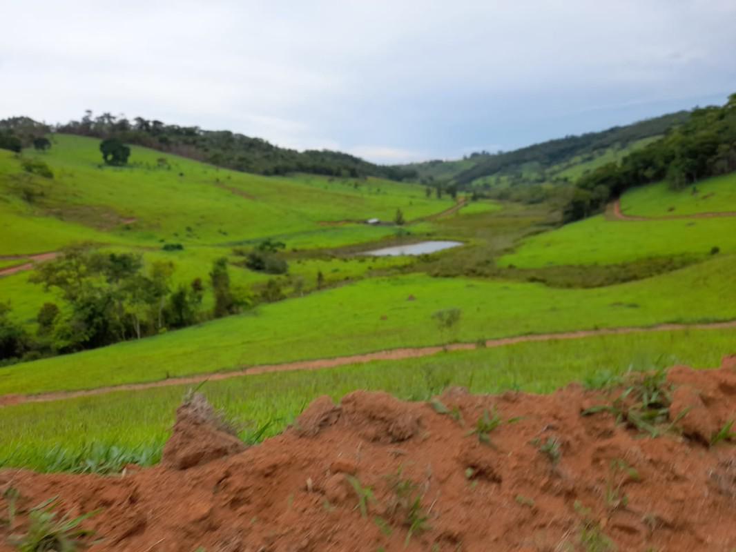 Fazenda, Zona Rural, 8 Quartos, 0 Vaga