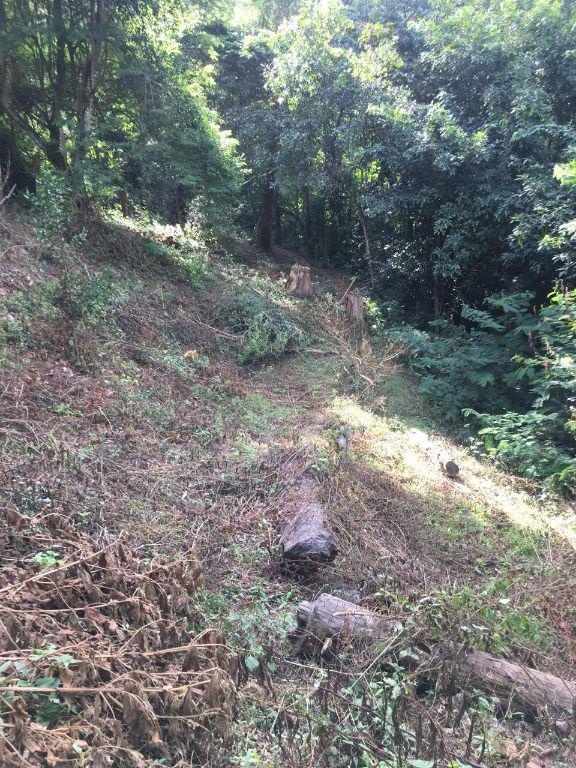 Lote, Mangueiras, 0 Quarto, 0 Vaga
