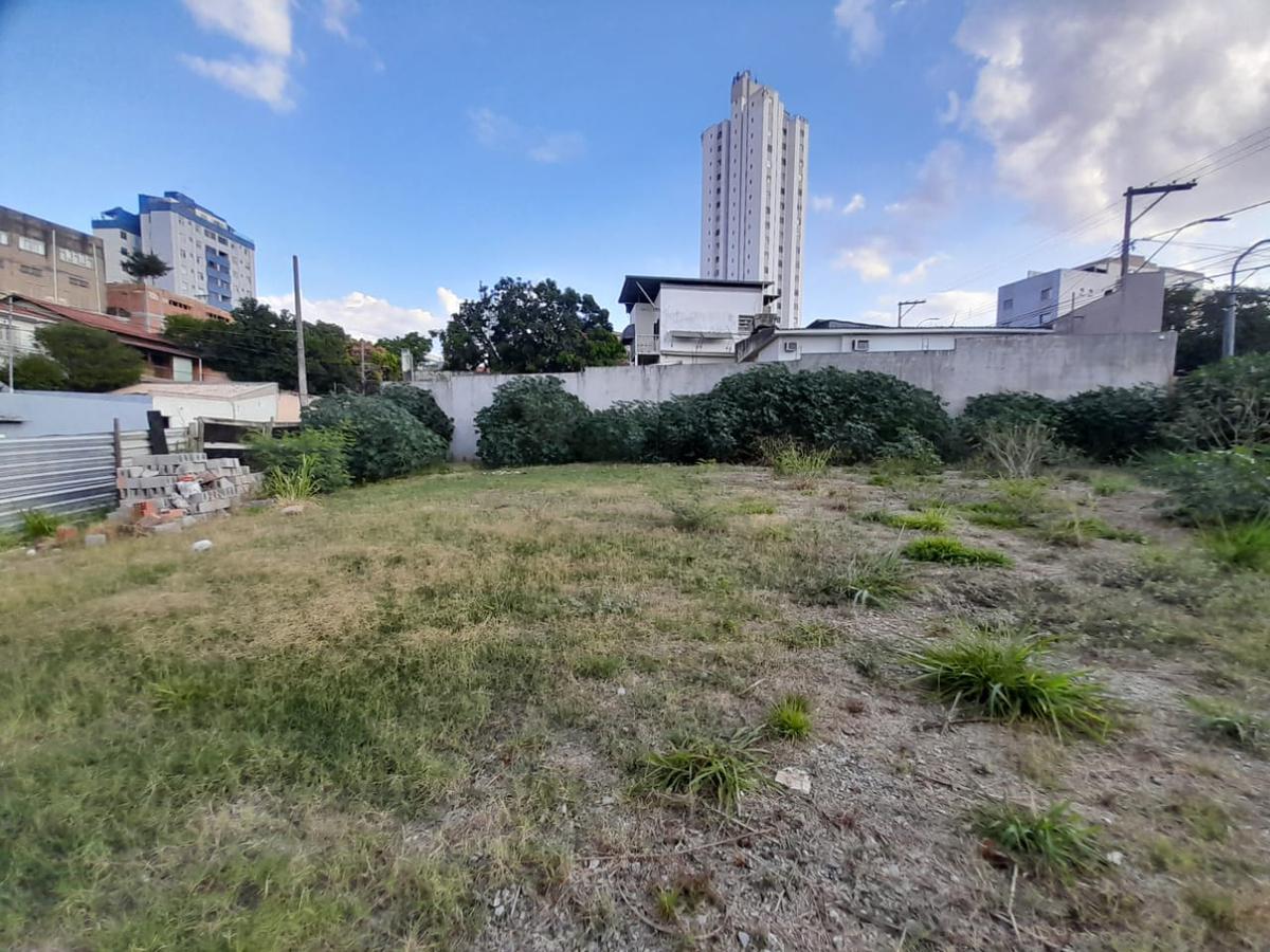 Lote, Floresta, 0 Quarto, 0 Vaga