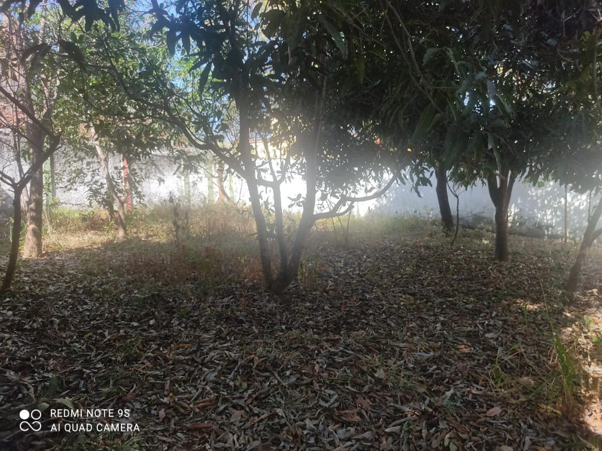 Lote, Visão, 0 Quarto, 0 Vaga