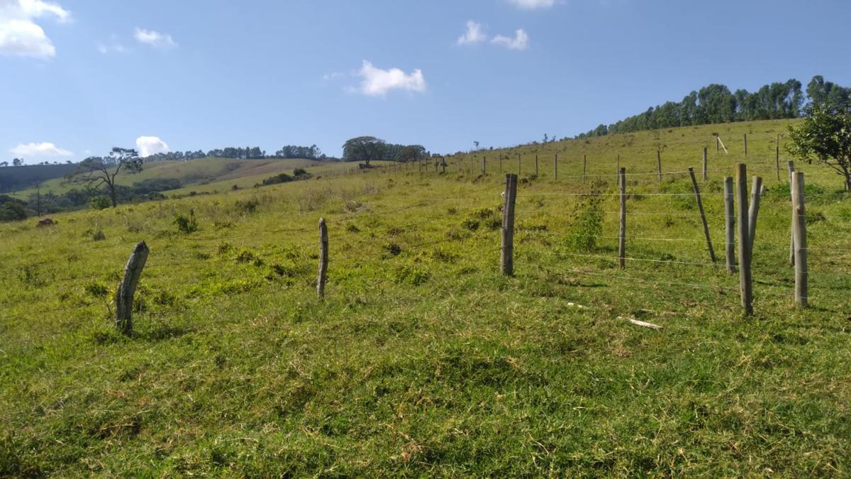 Fazenda, Centro, 0 Quarto, 0 Vaga
