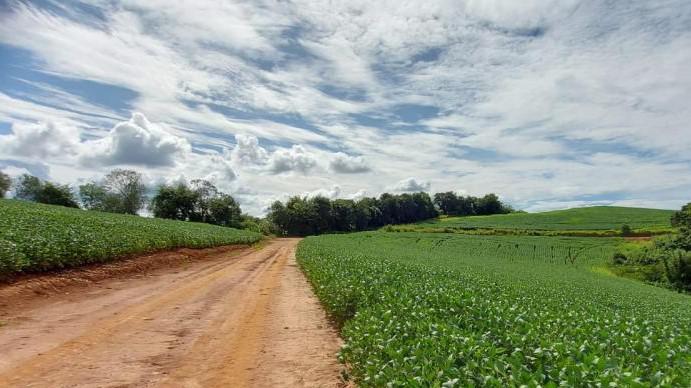 Fazenda, Zona Rural, 3 Quartos, 0 Vaga