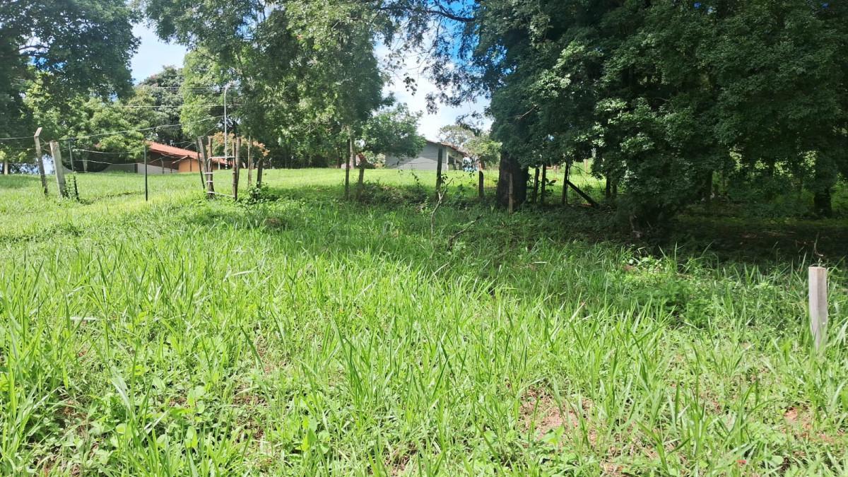 Lote, Parque Jardim Encantado, 0 Quarto, 0 Vaga