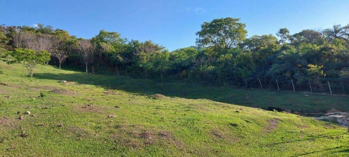 Fazenda, Area Rural de Santa Luzia, 0 Quarto, 0 Vaga
