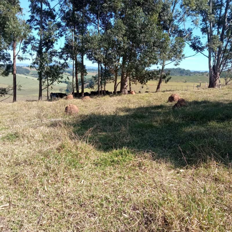 Fazenda, Zona Rural, 0 Quarto, 0 Vaga