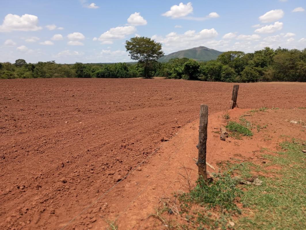 Fazenda, Centro, 0 Quarto, 0 Vaga