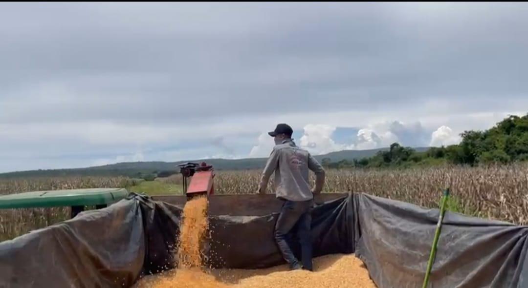 Fazenda, Zona Rural, 3 Quartos, 0 Vaga