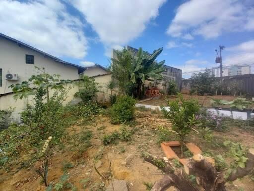 Lote, Centro, 0 Quarto, 0 Vaga