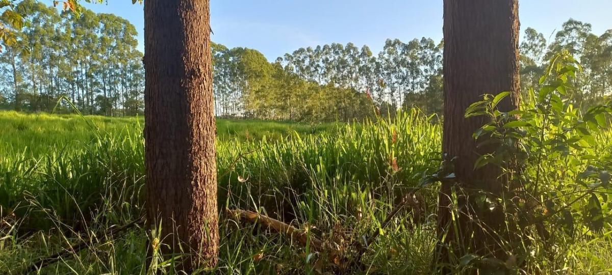 Fazenda, Zona Rural, 4 Quartos, 2 Vagas