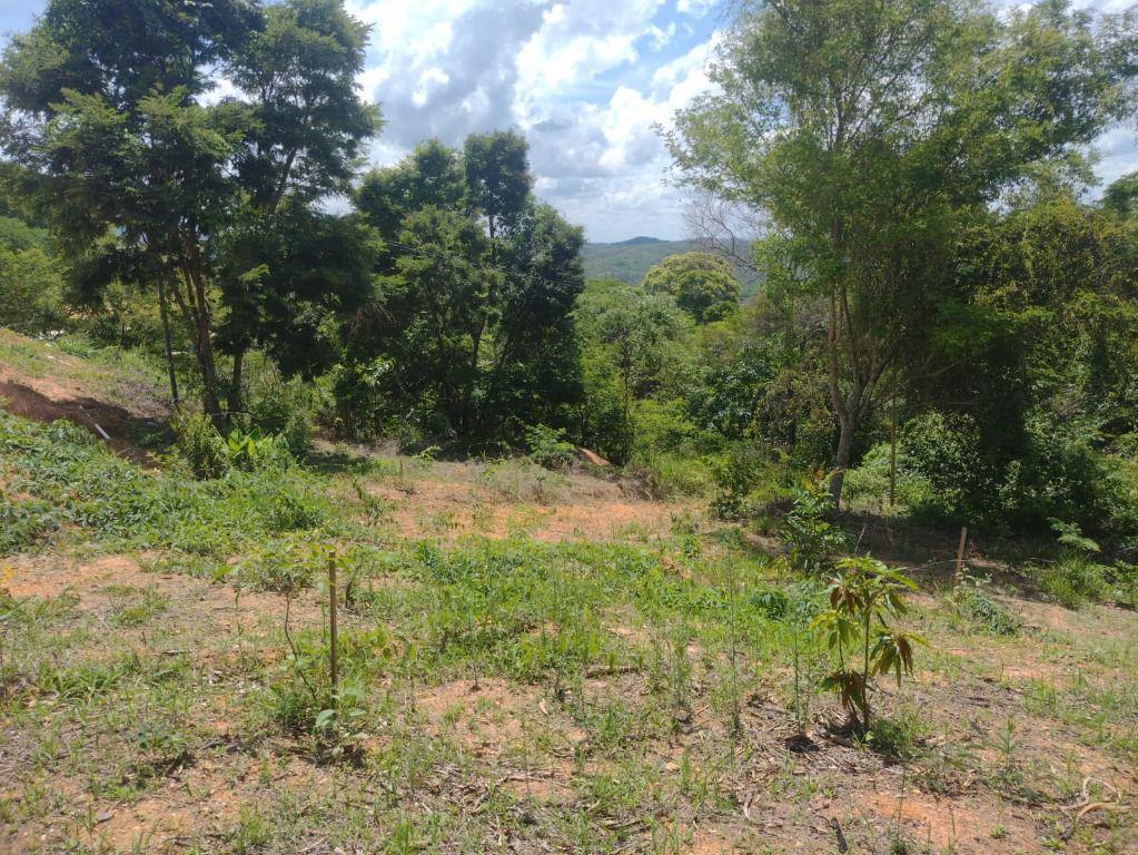 Lote, Roças Novas, 0 Quarto, 0 Vaga