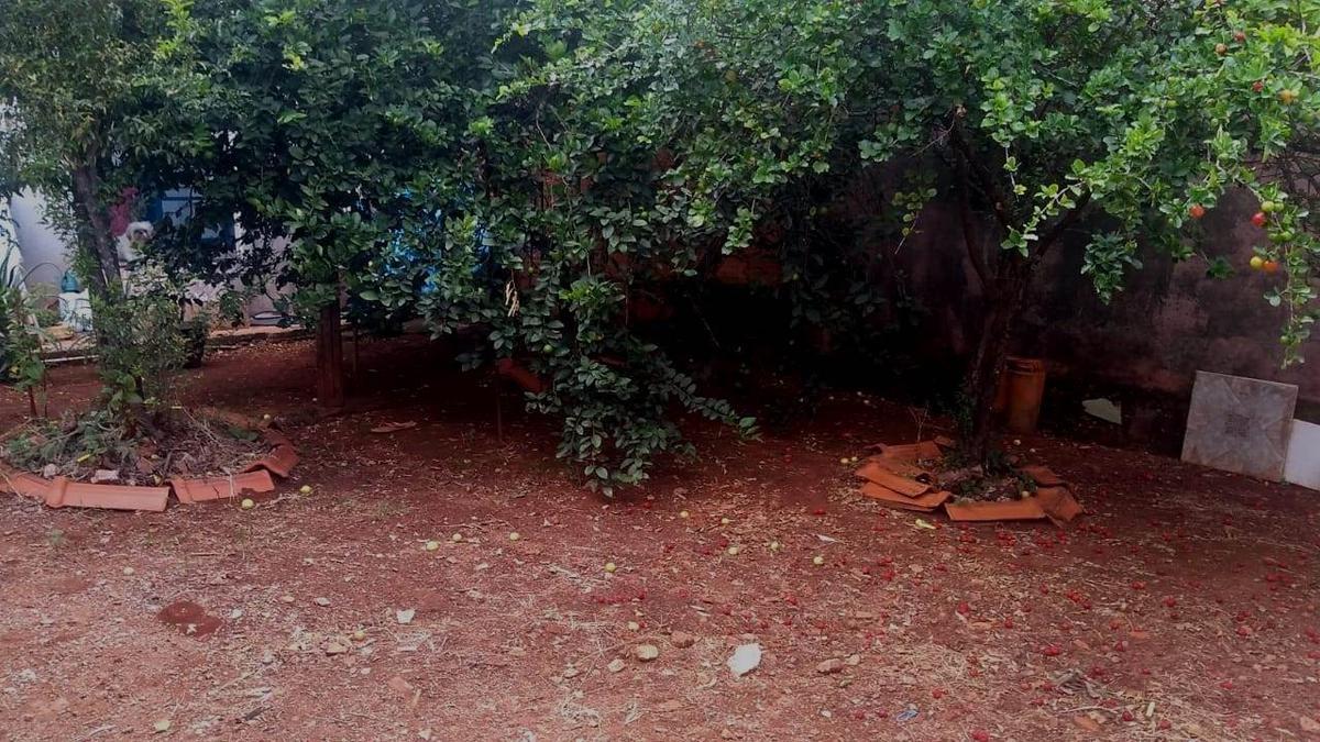 Casa, Betânia, 3 Quartos, 2 Vagas