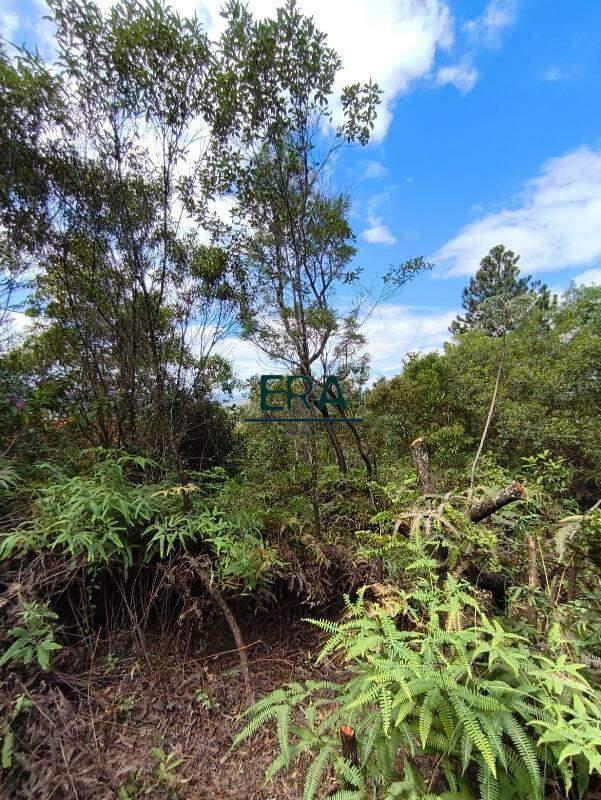 Lote, Parque do Engenho, 0 Quarto, 0 Vaga