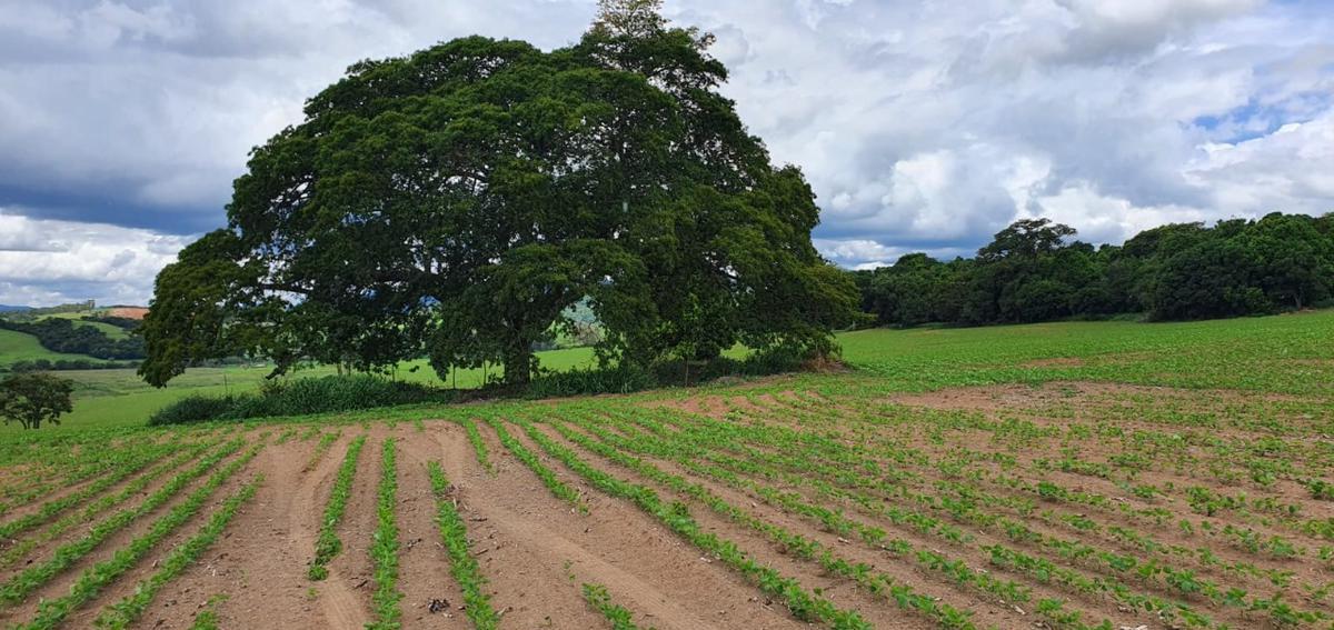 Fazenda, Centro, 1 Quarto, 1 Vaga, 1 Suíte
