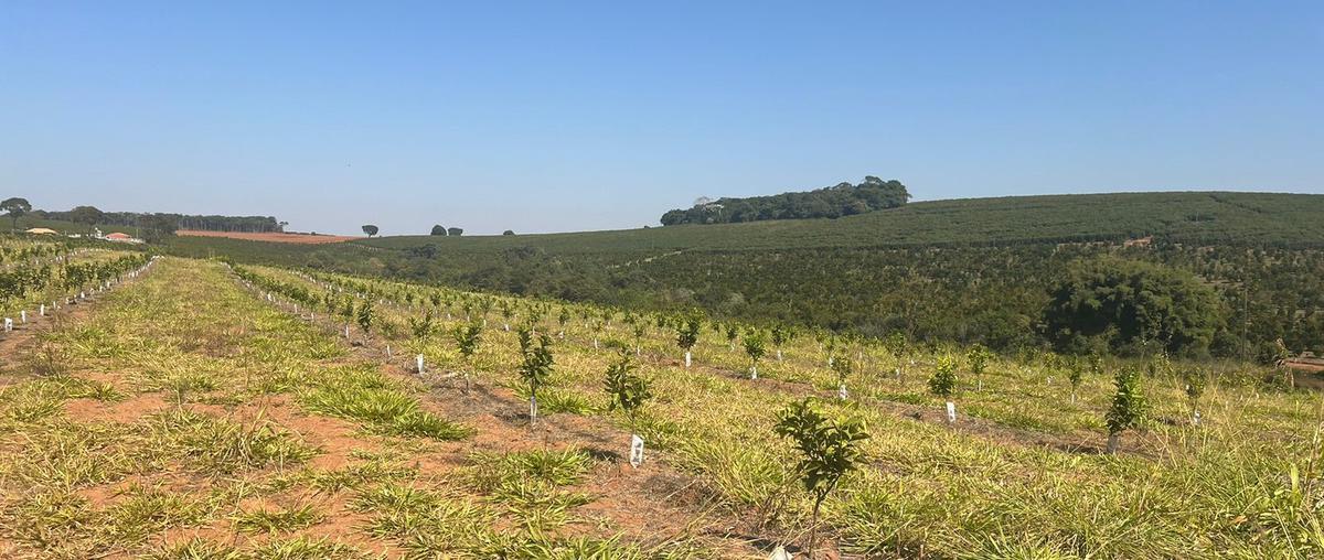 Fazenda, Zona Rural, 3 Quartos, 0 Vaga