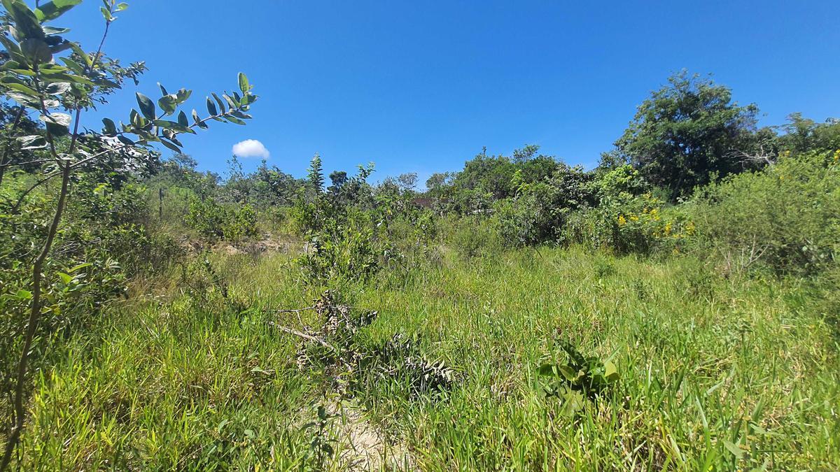Lote, Ravena, 0 Quarto, 0 Vaga