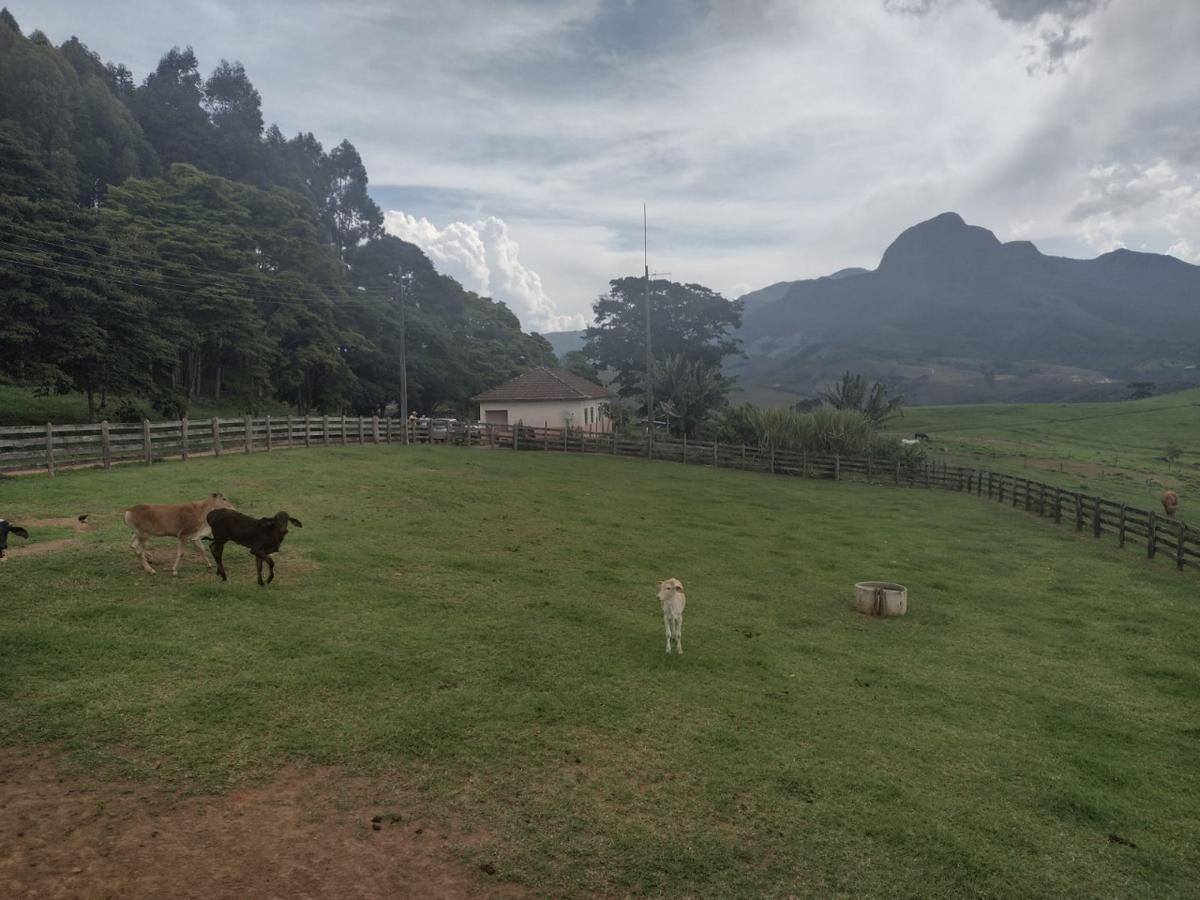 Fazenda, Centro, 3 Quartos, 1 Vaga