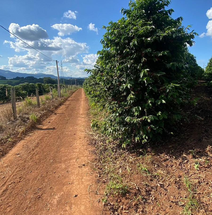 Fazenda, Zona Rural, 0 Quarto, 0 Vaga
