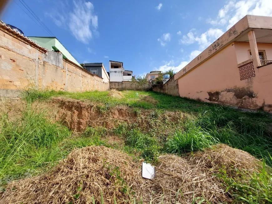 Lote, Palmeiras, 0 Quarto, 0 Vaga