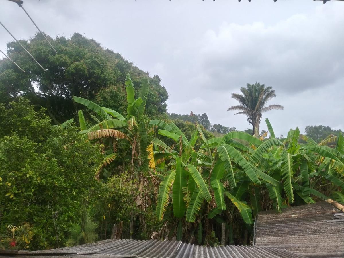 Fazenda, Zona Rural, 3 Quartos, 0 Vaga