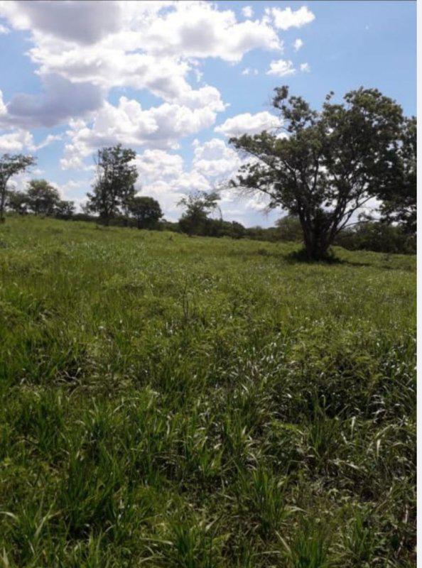 Fazenda, Centro, 0 Quarto, 0 Vaga