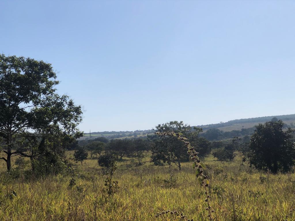 Fazenda, Zona Rural, 3 Quartos, 0 Vaga