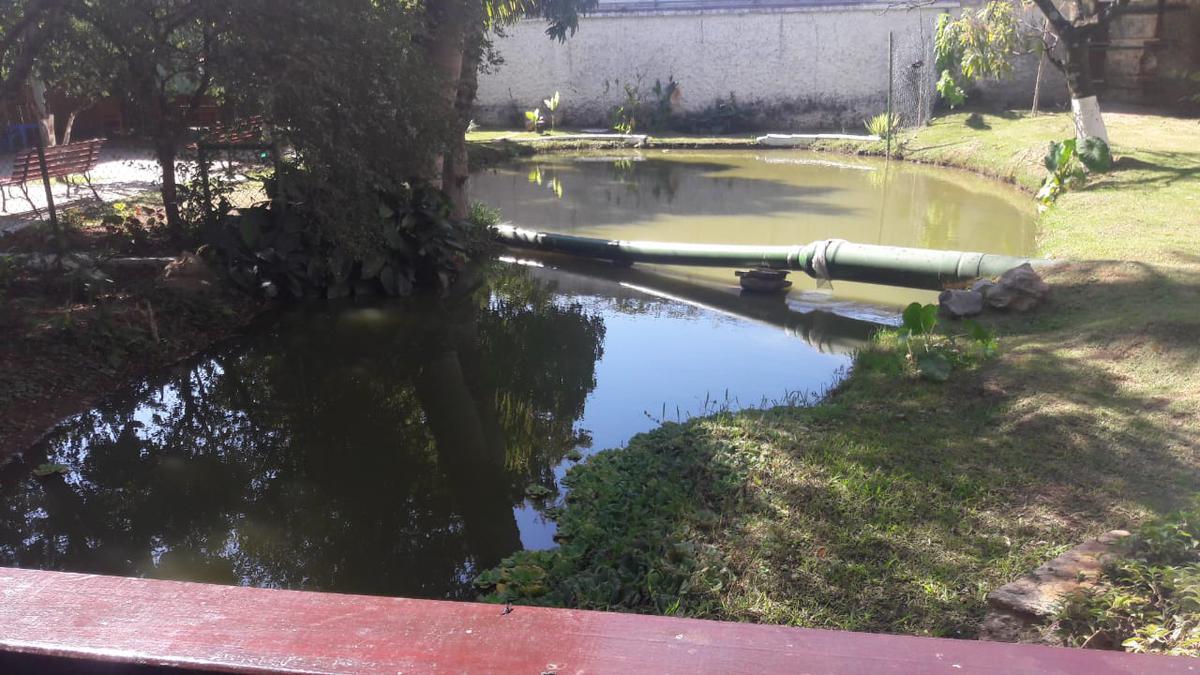 Apartamento, São Francisco, 3 Quartos, 2 Vagas, 1 Suíte