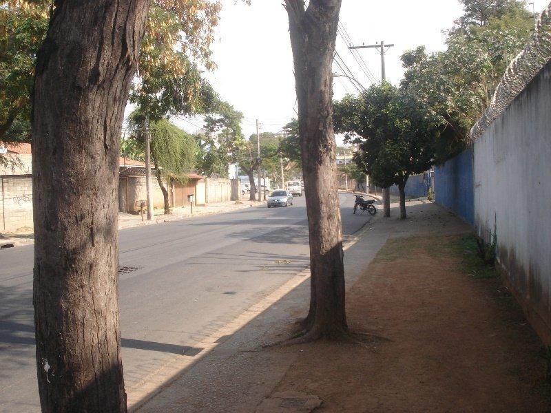 Lote, São João Batista (venda Nova), 0 Quarto, 0 Vaga