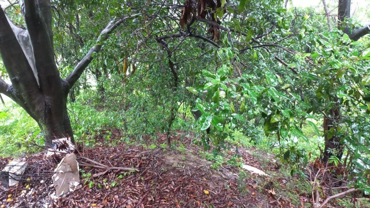 Casa, Jardim Alterosa, 4 Quartos, 2 Vagas, 1 Suíte