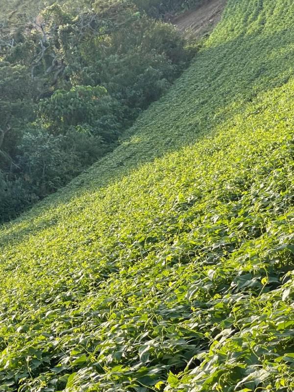 Fazenda, Zona Rural, 0 Quarto, 0 Vaga