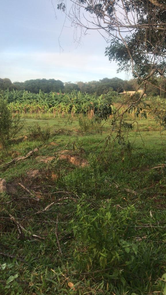 Fazenda, Área Rural de Pará de Minas, 3 Quartos, 0 Vaga, 1 Suíte