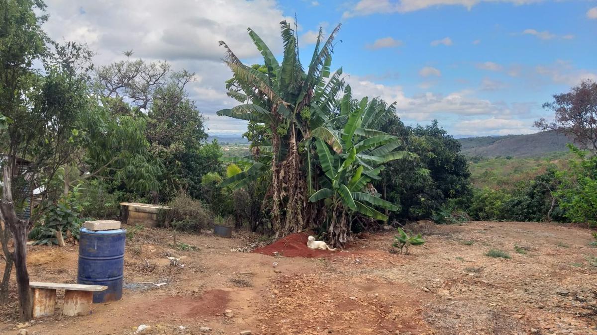 Lote, Palmital, 0 Quarto, 0 Vaga