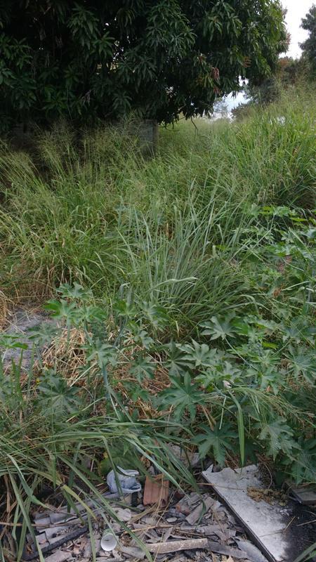 Lote, Betim Industrial, 0 Quarto, 0 Vaga