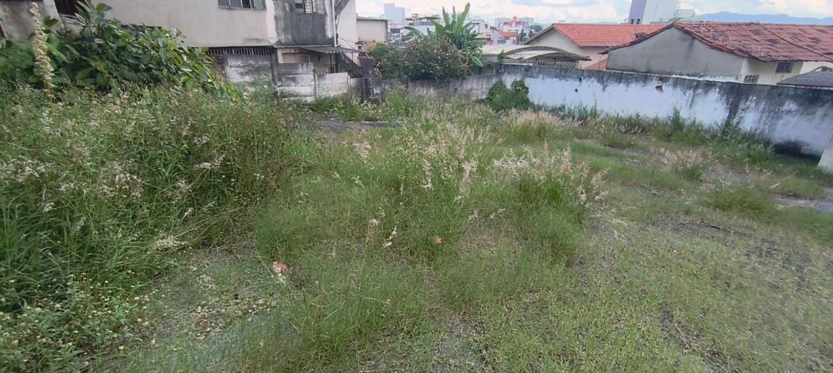 Lote, Santa Cruz Industrial, 0 Quarto, 0 Vaga