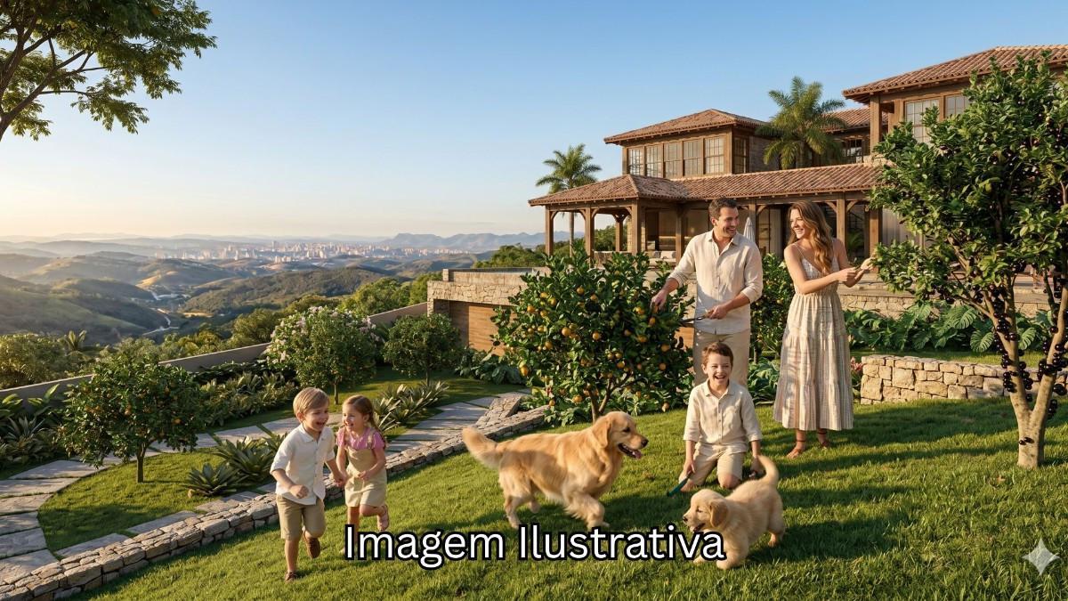 Lote, Saraiva, 0 Quarto, 0 Vaga