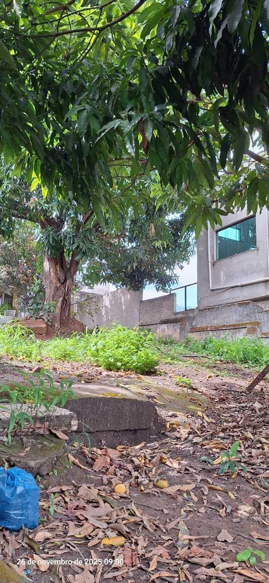 Lote, Concórdia, 1 Quarto, 1 Vaga