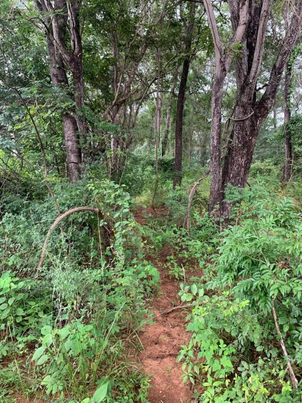Fazenda, Zona Rural, 0 Quarto, 0 Vaga